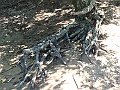 Western Michigan [2010] 077